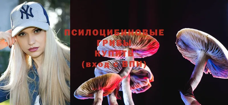 Псилоцибиновые грибы Cubensis Пугачёв